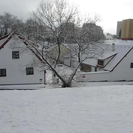 U Prochazku 公寓 *