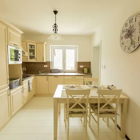 公寓 U Prochazku *